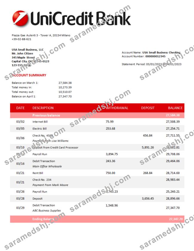 Unicredit Bank corporate statement Word and PDF template